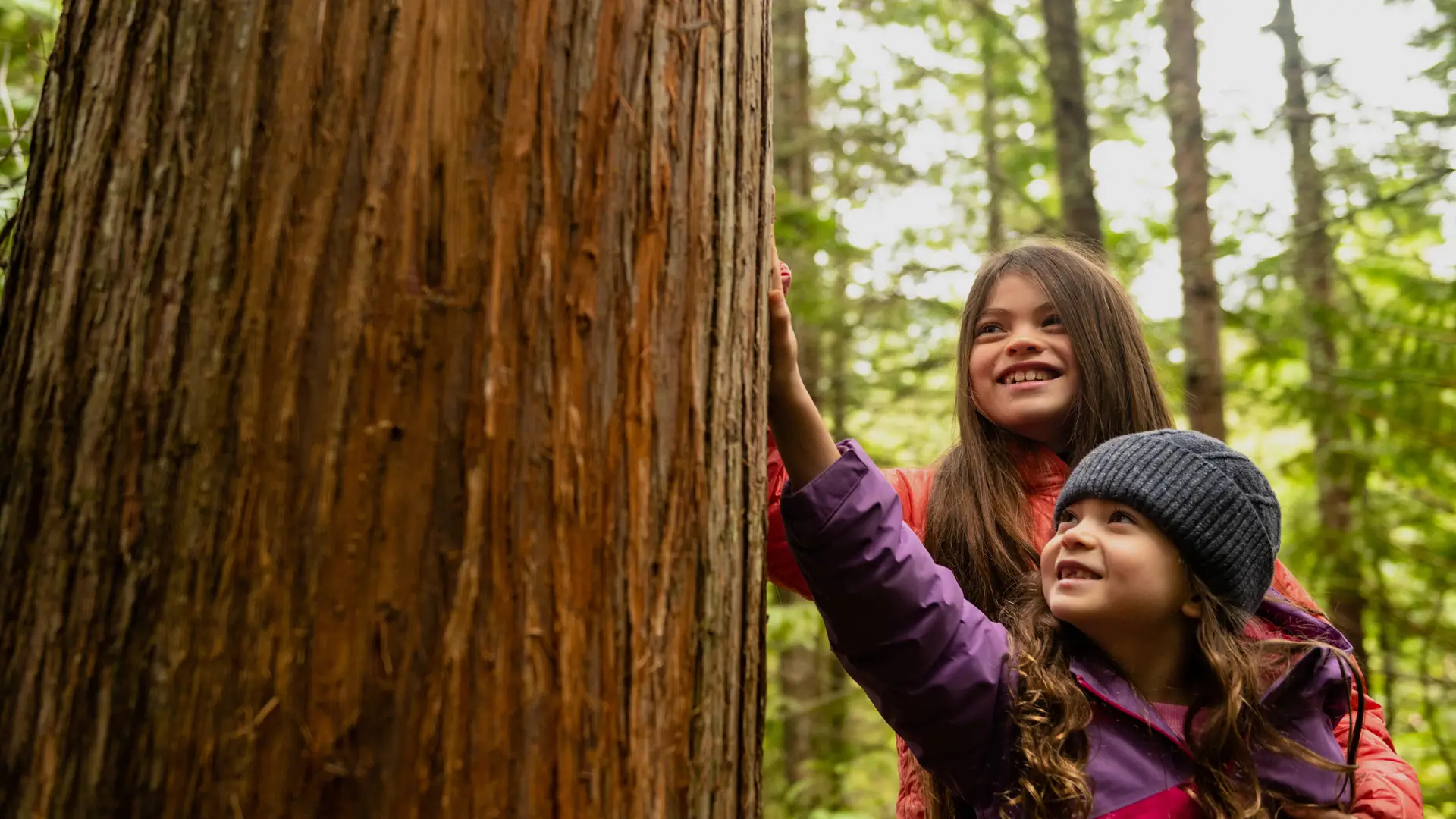 SEL, Mentoring, Career Prep: Schools That Deliver What Parents Say They Want